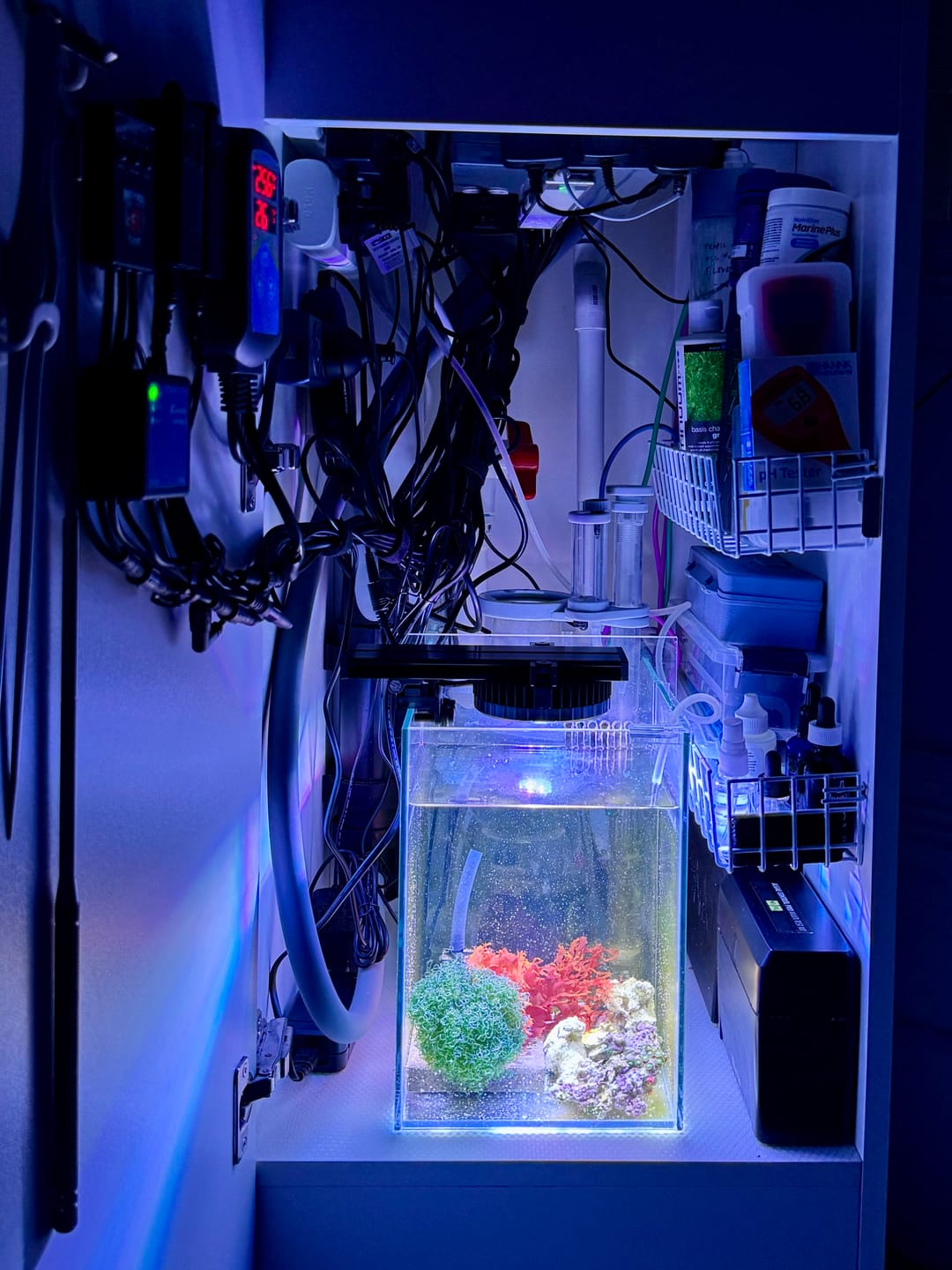 Customer photo review of Pixel Nano Mount