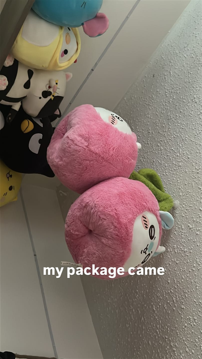 Customer photo review of Chiikawa x MINISO - Fruit Market Series - Fruit Cushion (Chiikawa & Momonga)