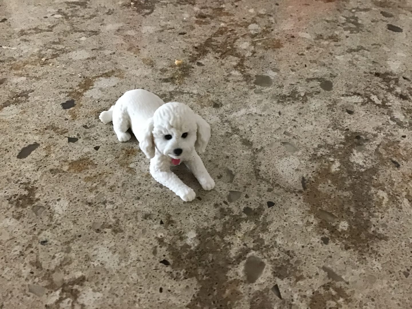 Customer photo review of Custom Pet Figurine from Photo - Dog & Cat Keepsake