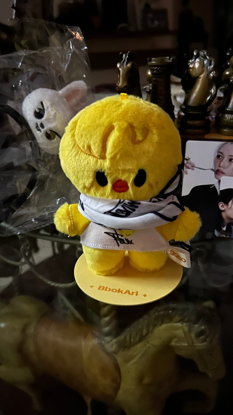 Customer photo review of Kpop Members Cartoon Characters Plush Headband