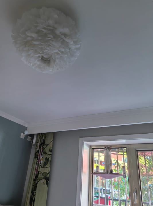Customer photo review of Goose Feather Ceiling Light, White Metal Frame, Boho, Hardwired