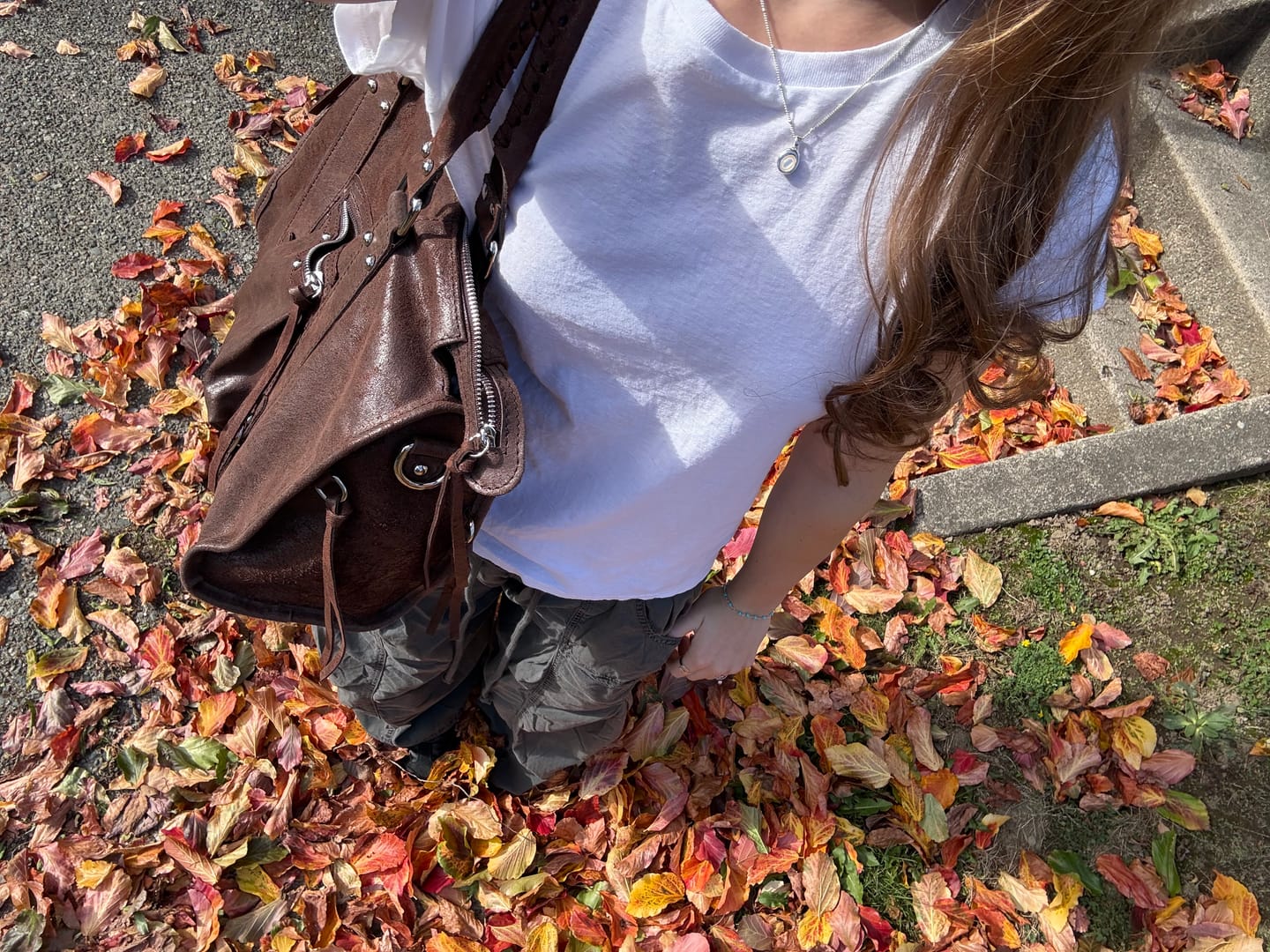 Customer photo review of It girl bag Espresso martini silver