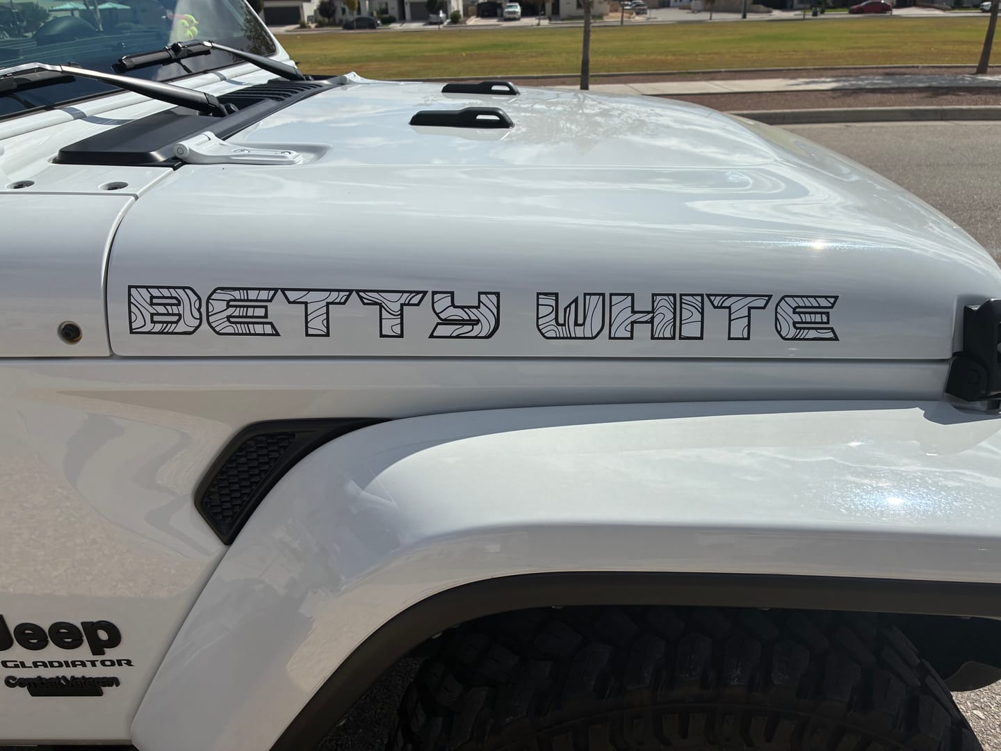 Customer photo review of Topographical Hood Lettering | Set of 2