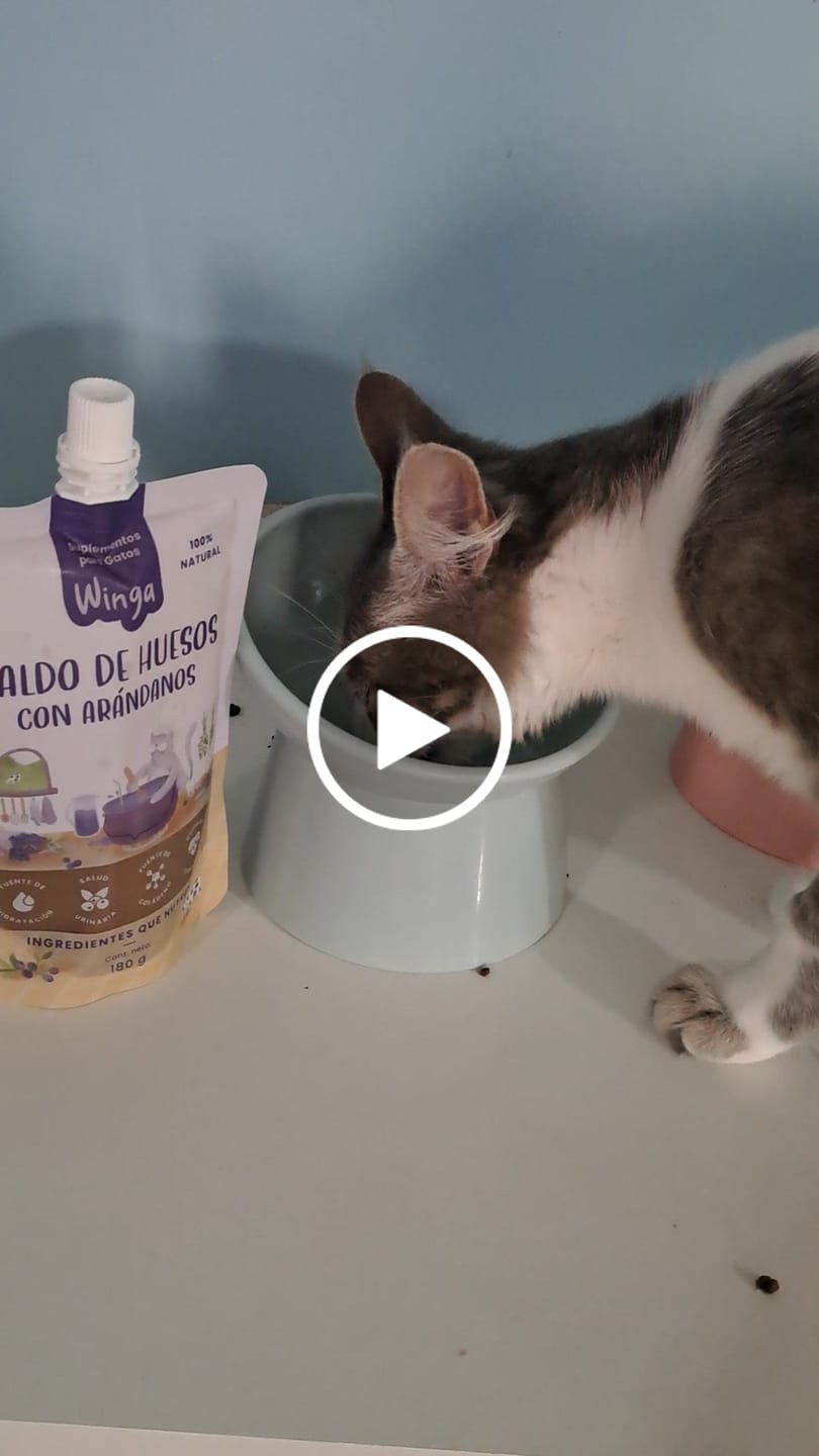 Customer video review of Caldo de Huesos Gatos