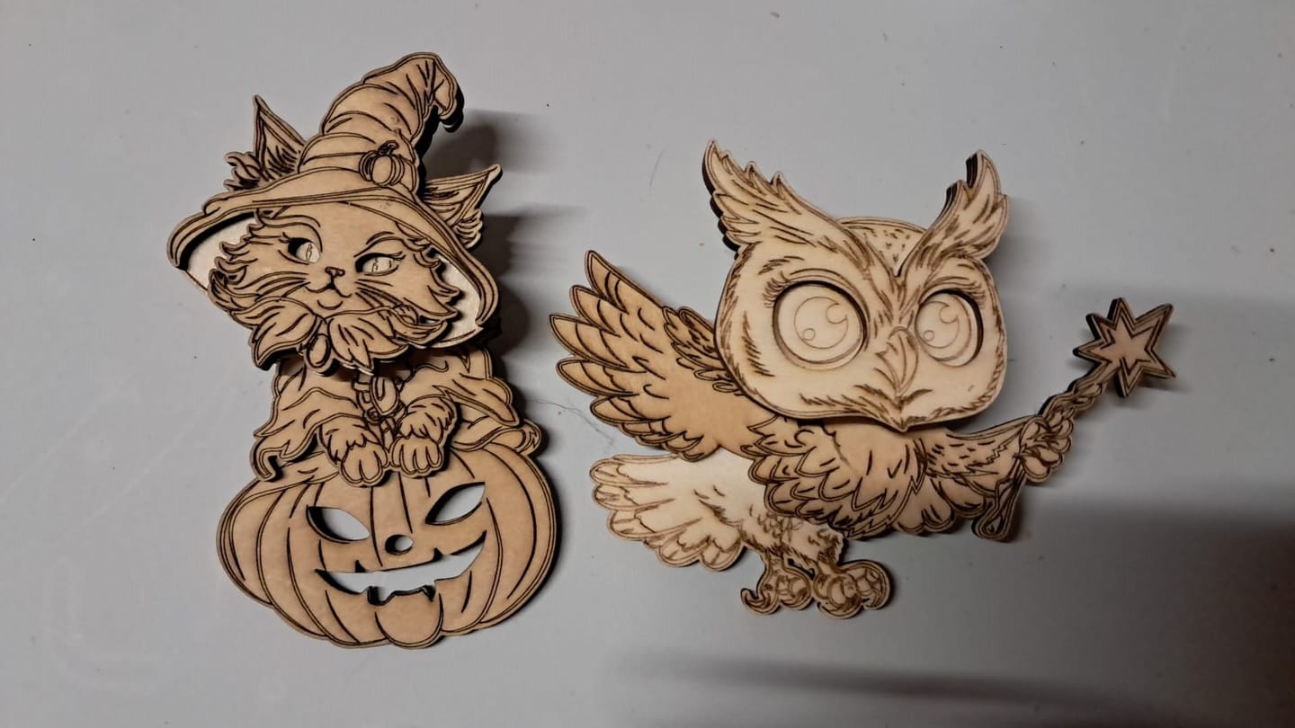 Customer photo review of 10 Laser Cut Halloween Fridge Magnet Witch Pumpkin SVG