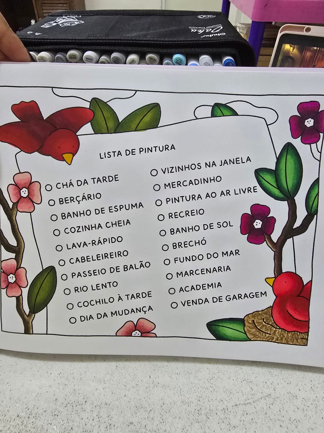 Customer photo review of Ohuhu Oahu 200 Colors Dual Tips Alcohol Art Markers, Fine & Chisel
