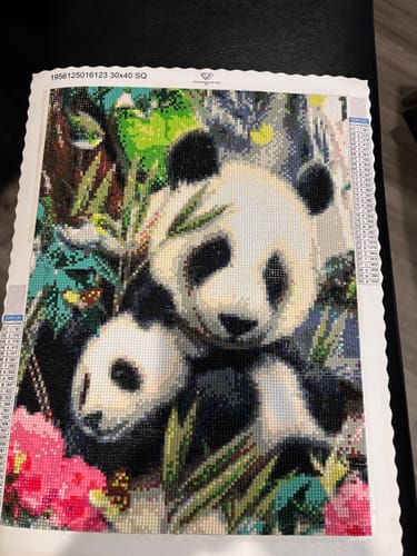 Karen M.’s finished Surprise Picture diamond painting