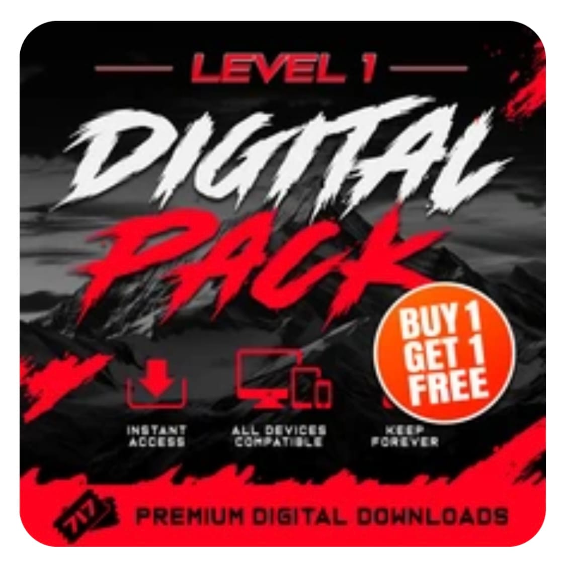 Customer photo review of Digital Pack — Level 1