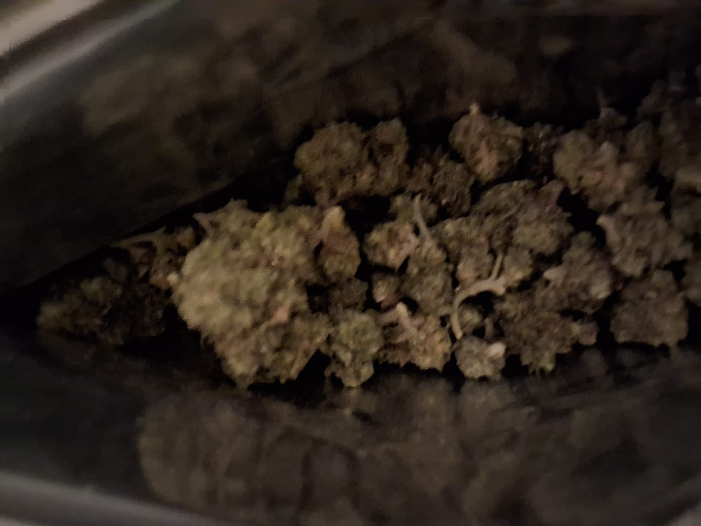 Customer photo review of Gorilla Glue THCA Flower