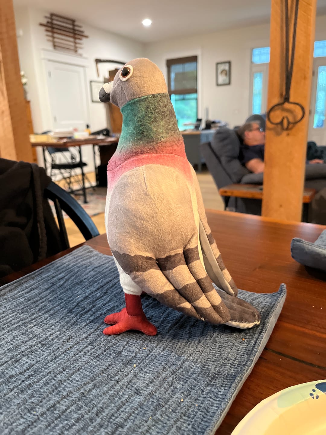 Customer photo review of Common Pigeon Bird Soft Stuffed Plush Toy