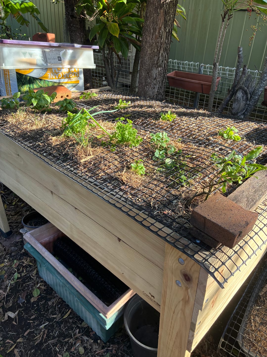 Customer photo of their Wide Raised Garden Bed