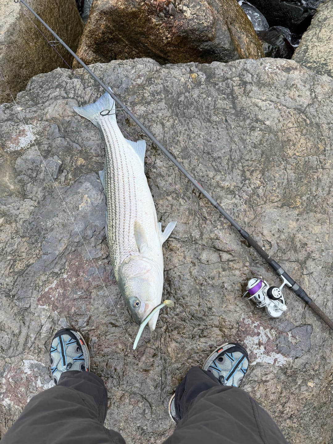 Customer photo review of Holographic Weighted Sand Eel
