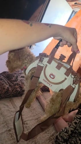 Customer photo review of KELYX™ Sac de Transport Multifonction pour Chat avec Bandoulière