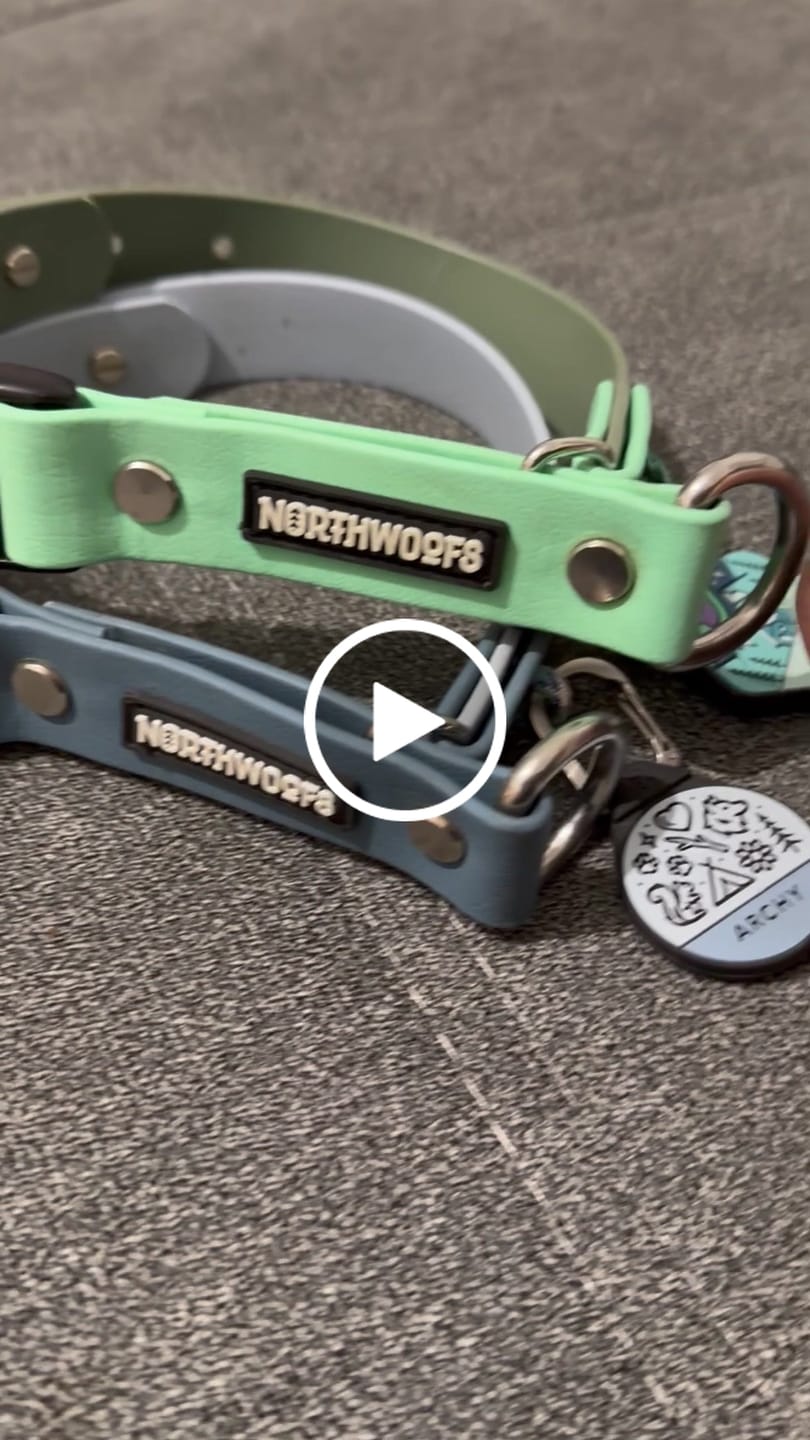 Customer video review of The Tide - Limited QuickSlip™ Collar