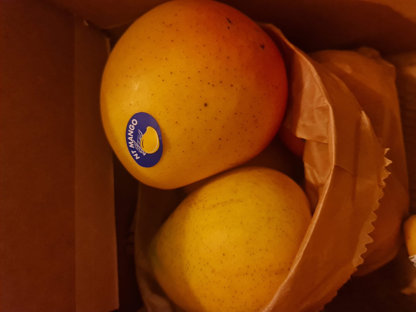 Customer photo review of Mango Kensington Pride Medium - 3pc