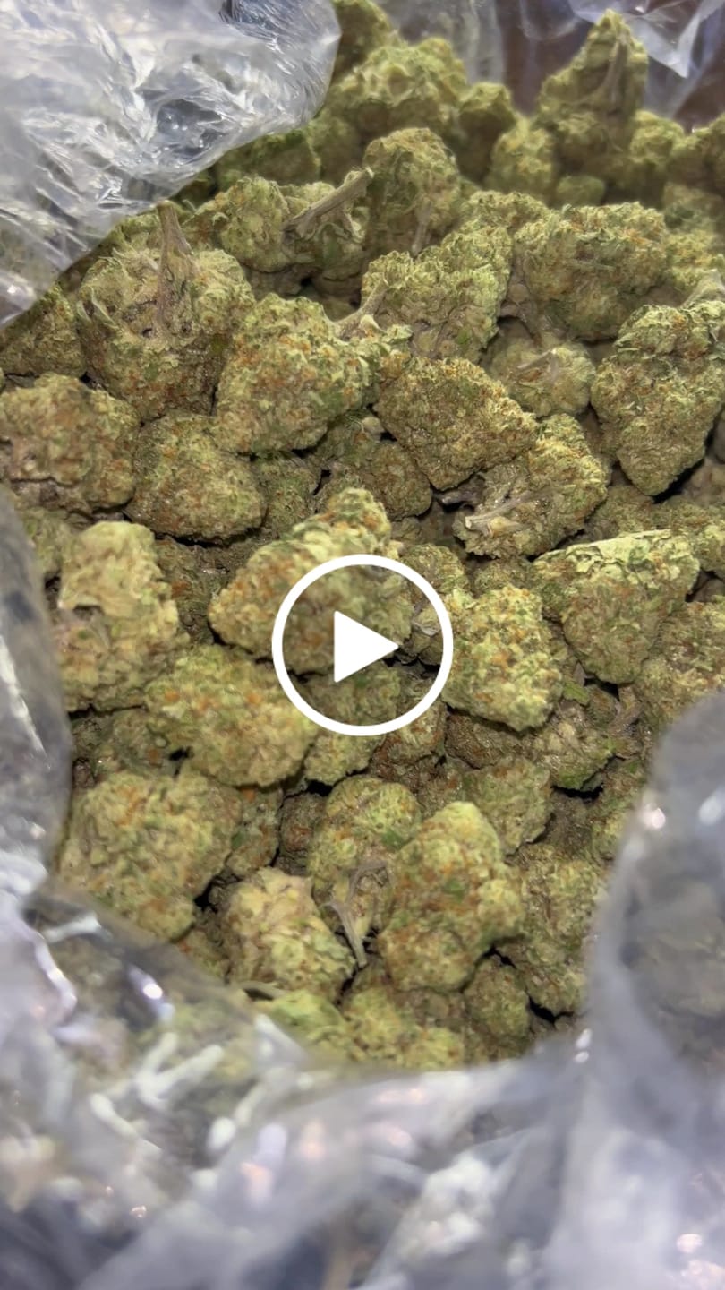 Customer video review of Cheap THCA Smalls Pound