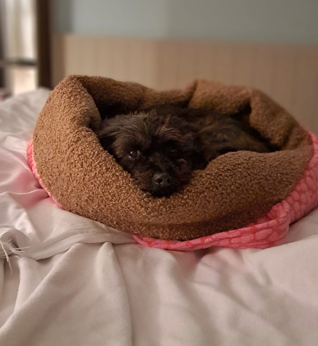 Customer photo review of Studio Nest Schlafsack