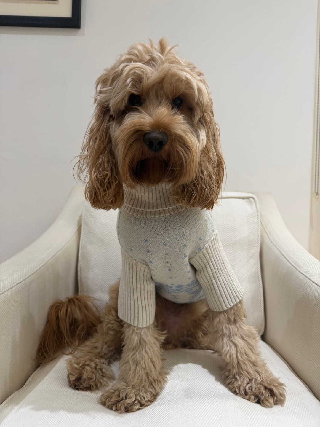 Customer photo review of Ice Blue | Après Ski Roll Neck Knit