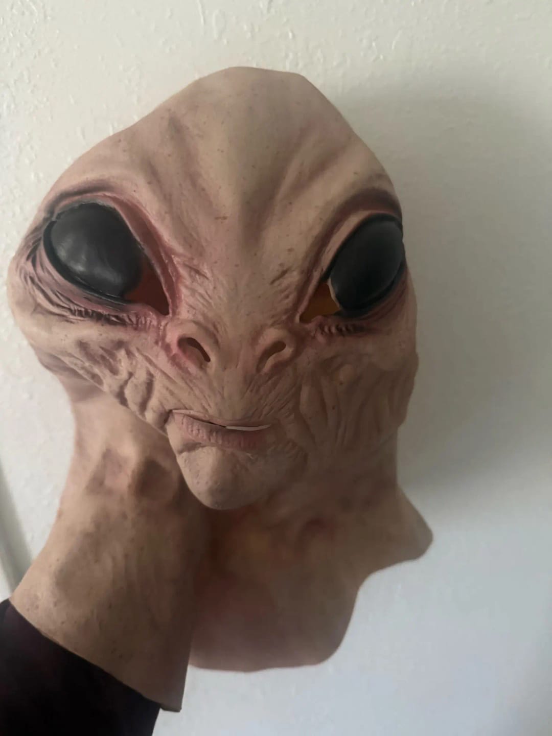 Customer photo review of FaceCrypt™ – Máscaras Hiperrealistas de Látex y Tela para Halloween | Talla Única | Lleva 2 y Paga 1