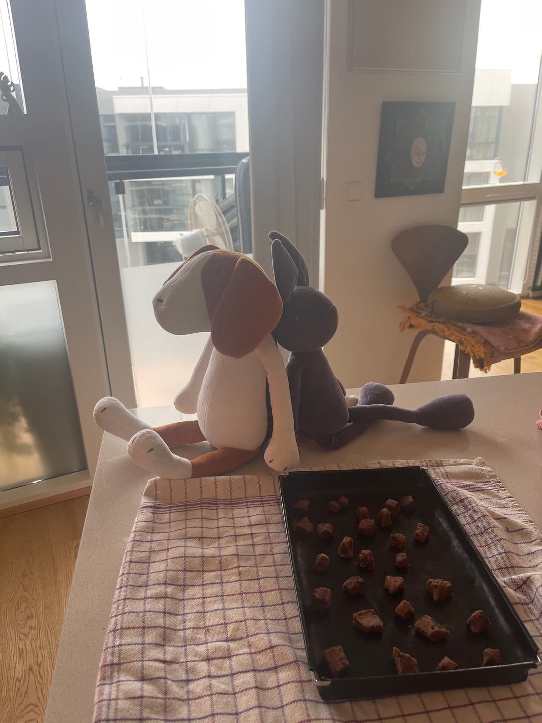 Customer photo review of DANIEL LE LAPIN - M/L
