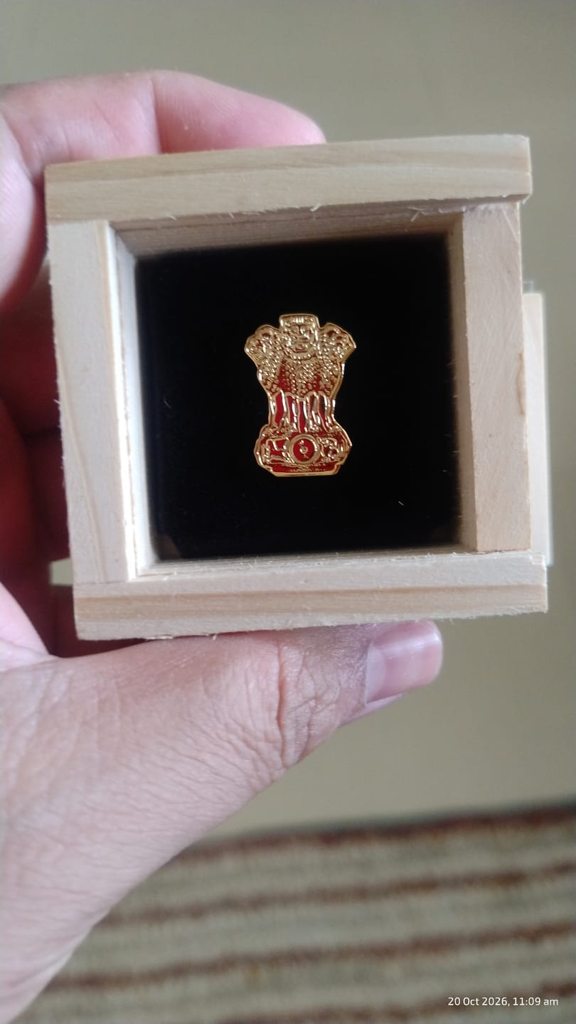 Customer photo review of Lapel Pin - Sarnath Lion Capital - Goldplated