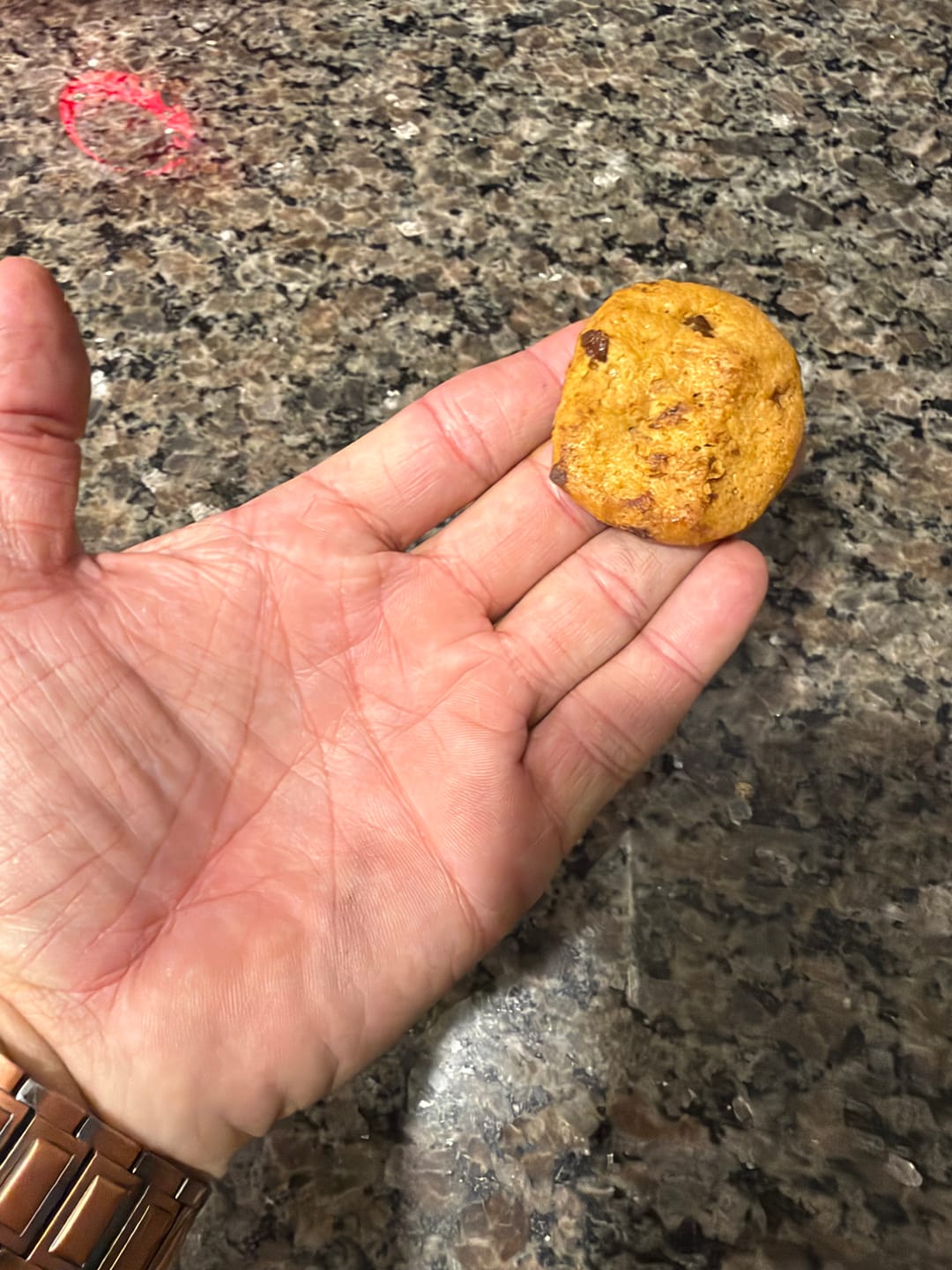Customer photo review of Sourdough Cookies
