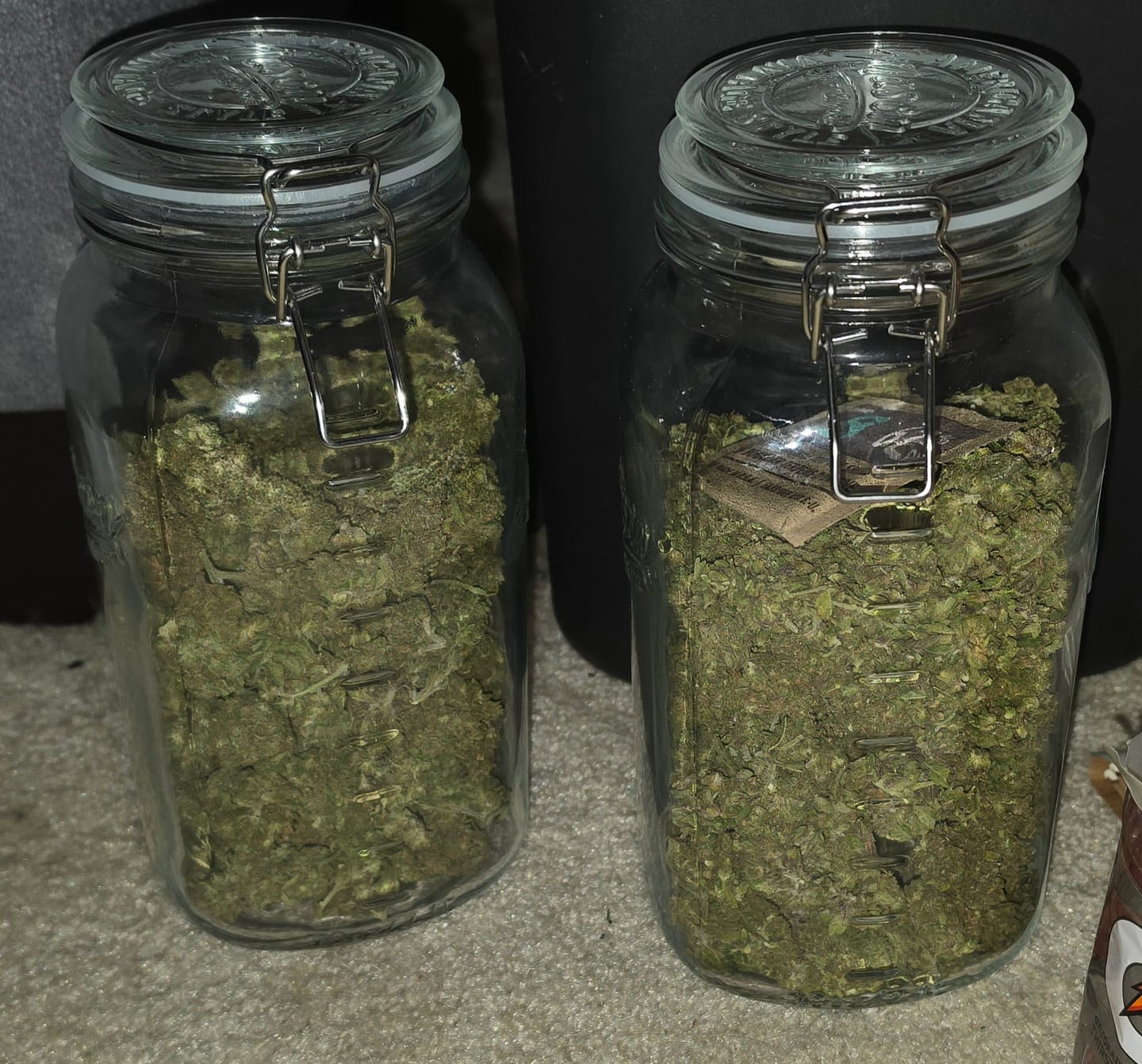 Customer photo review of Platinum Berry - Bulk - Hybrid
