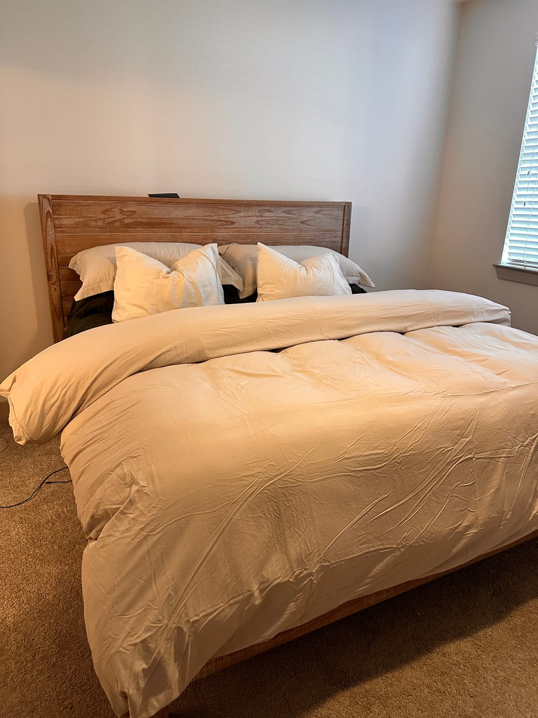Customer photo review of King Duvet Insert