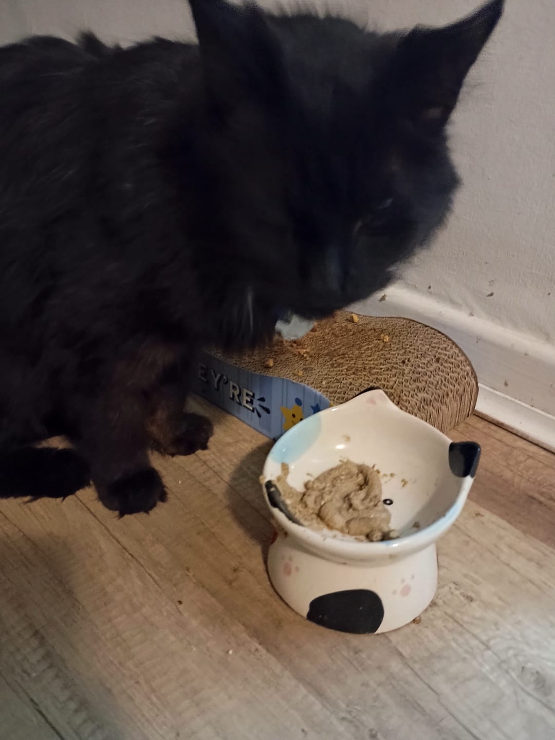 Customer photo review of Pork Paradise Gatos