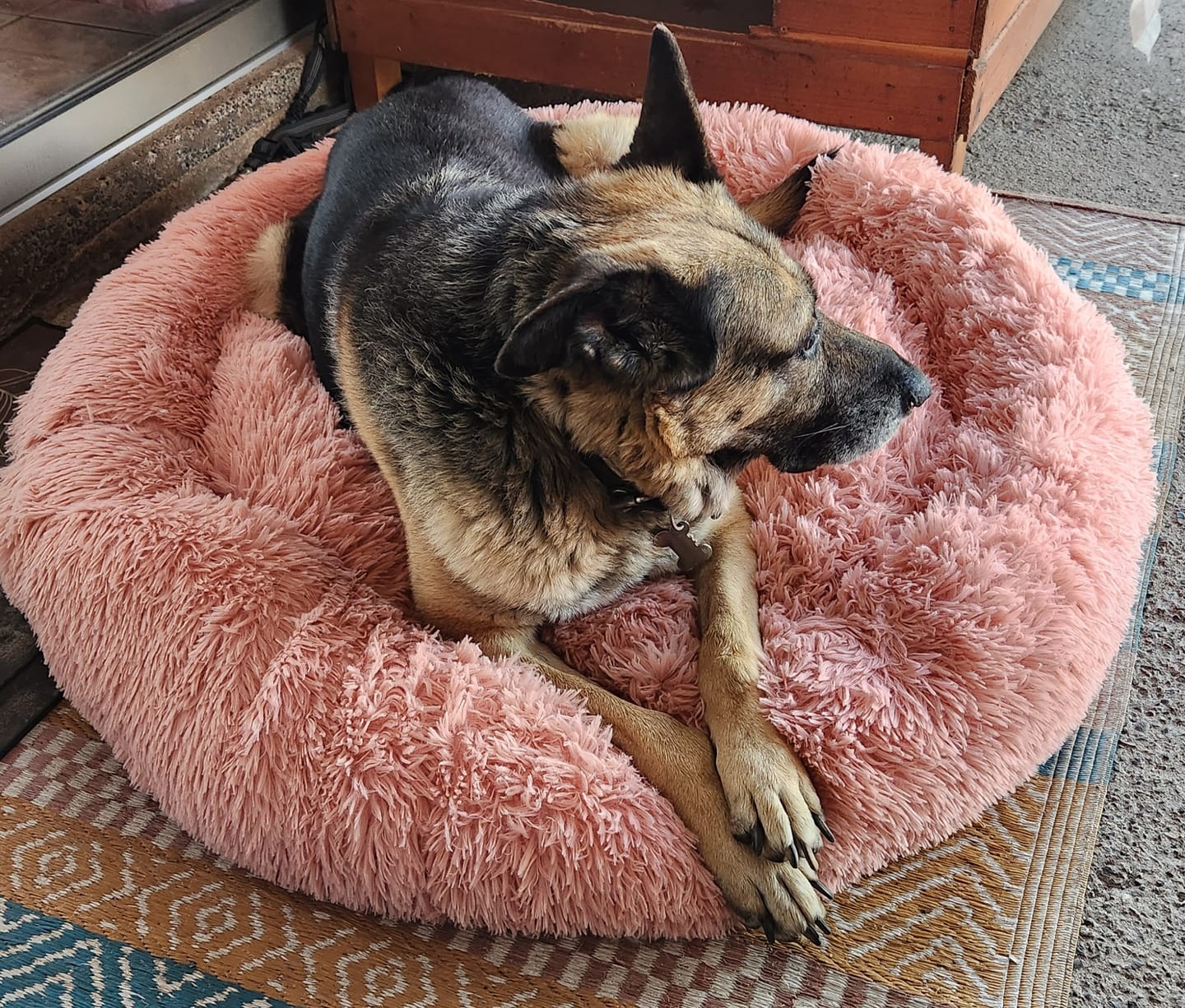 Customer photo review of Cama Anti-Estrés THE DOGS — Menos ansiedad, más descanso