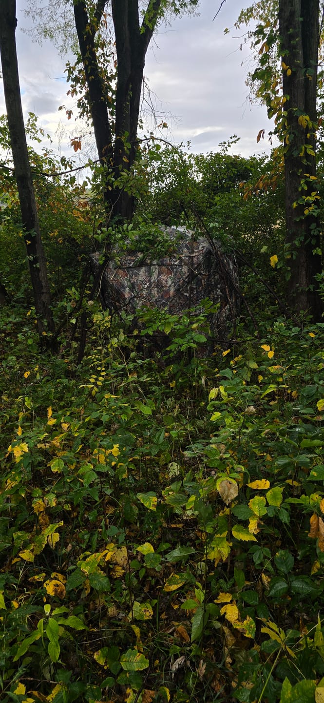 Customer photo review of Vis360 See Through Silent 4 Full Panels Deer Hunting Blind