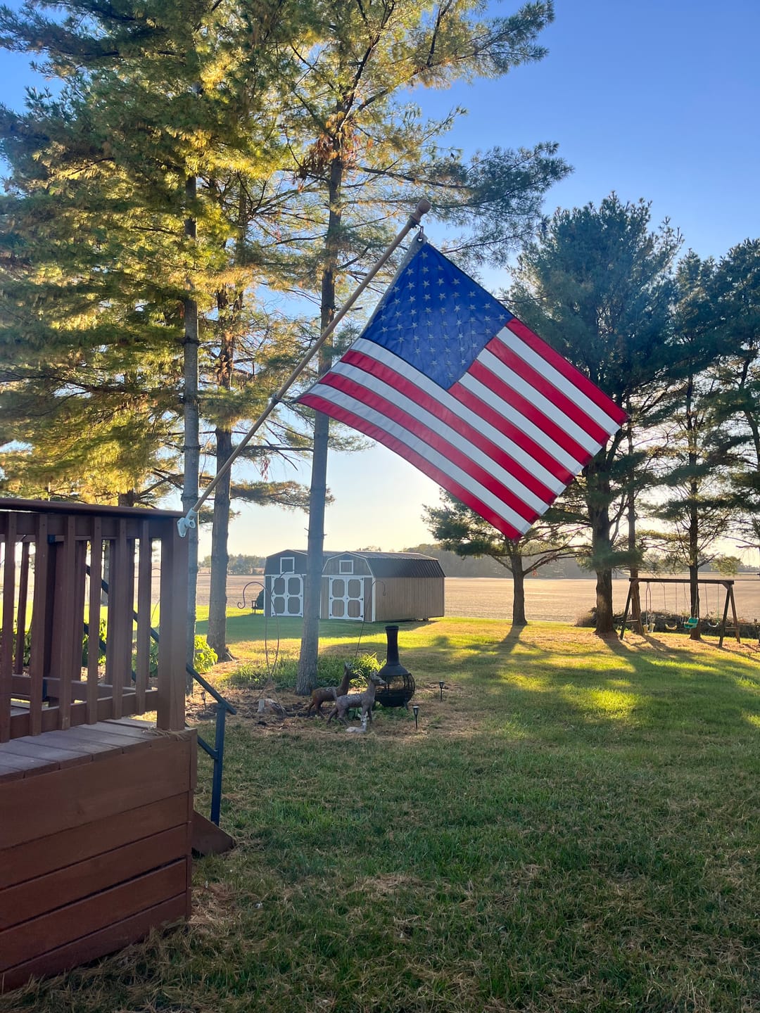 Customer photo review of 3' x 5' American Flag Set