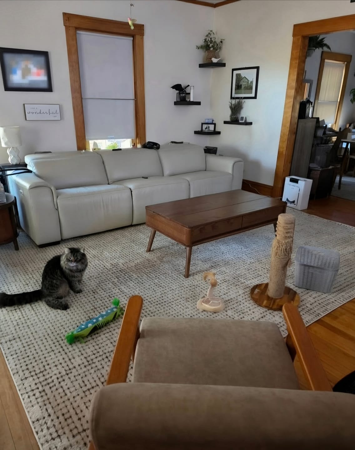 Customer photo review of Oliver Checkered Cream Rug
