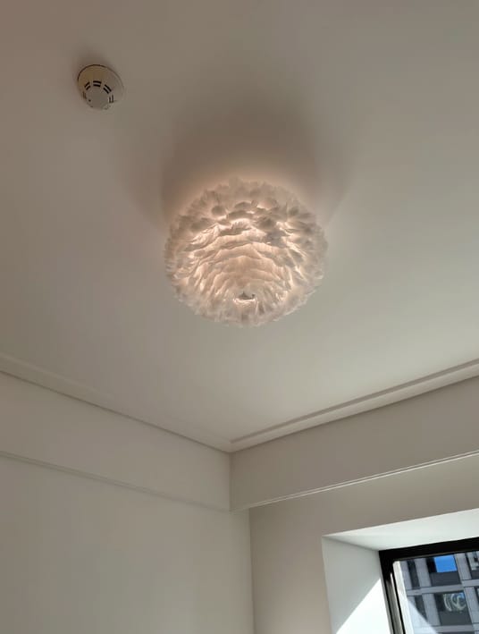 Customer photo review of Goose Feather Ceiling Light, White Metal Frame, Boho, Hardwired