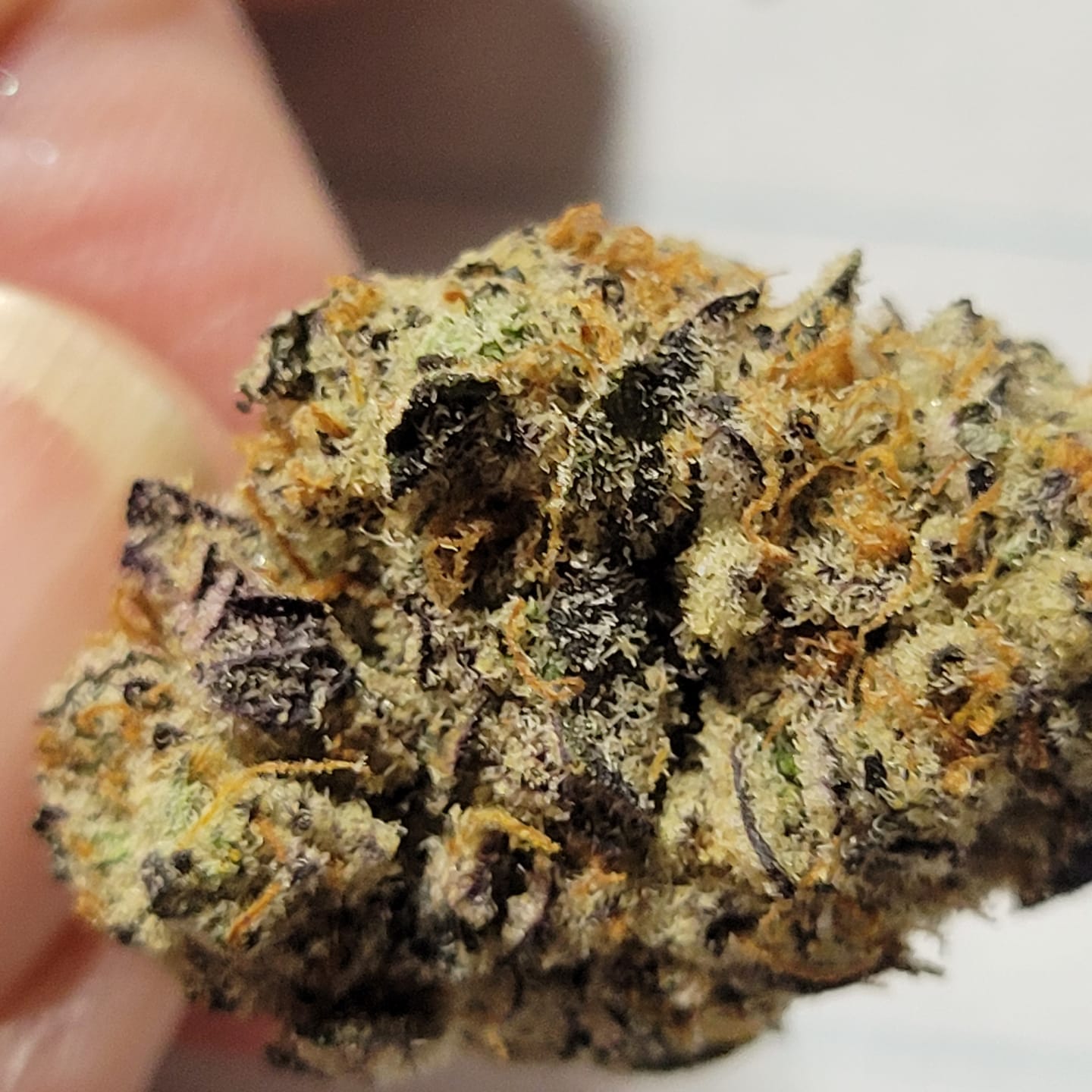 Customer photo review of Strawberry Cough THCA Flower