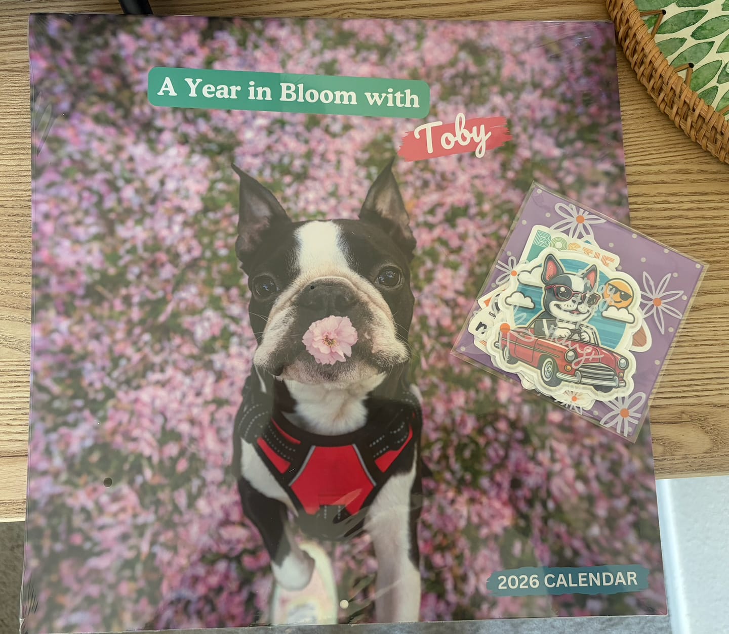 Customer photo review of 2026 Wall Calendar