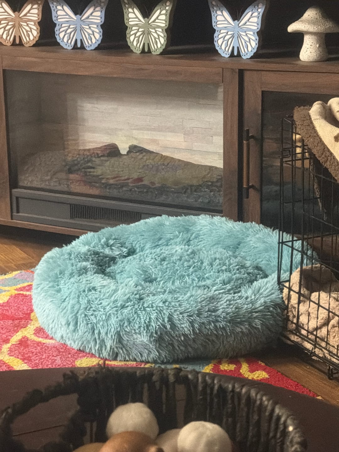 Customer photo review of The Original Fluffy Bean® Pet Bed