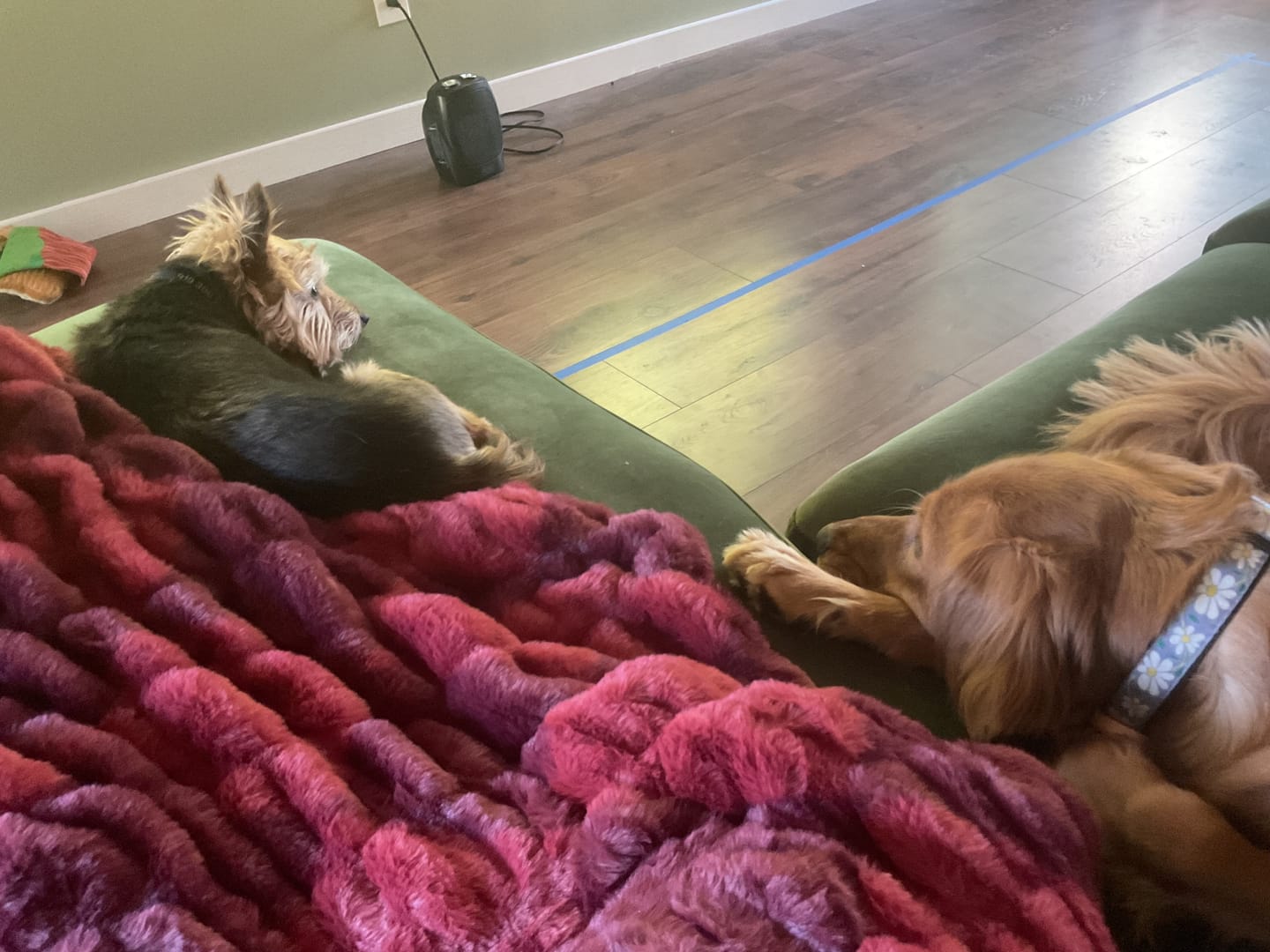Customer photo review of Hugs Diamond Red Blanket