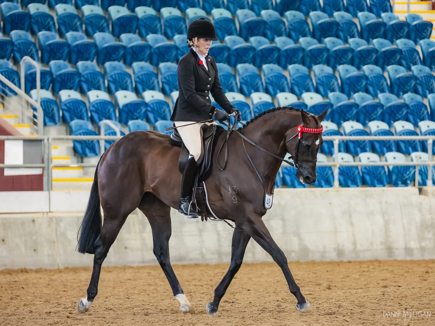 Customer photo review of Ulcer Armour+ | Gastric Support for Horses