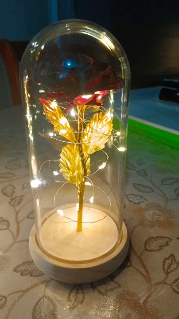 Customer photo review of EverGlow Rose - Lamp