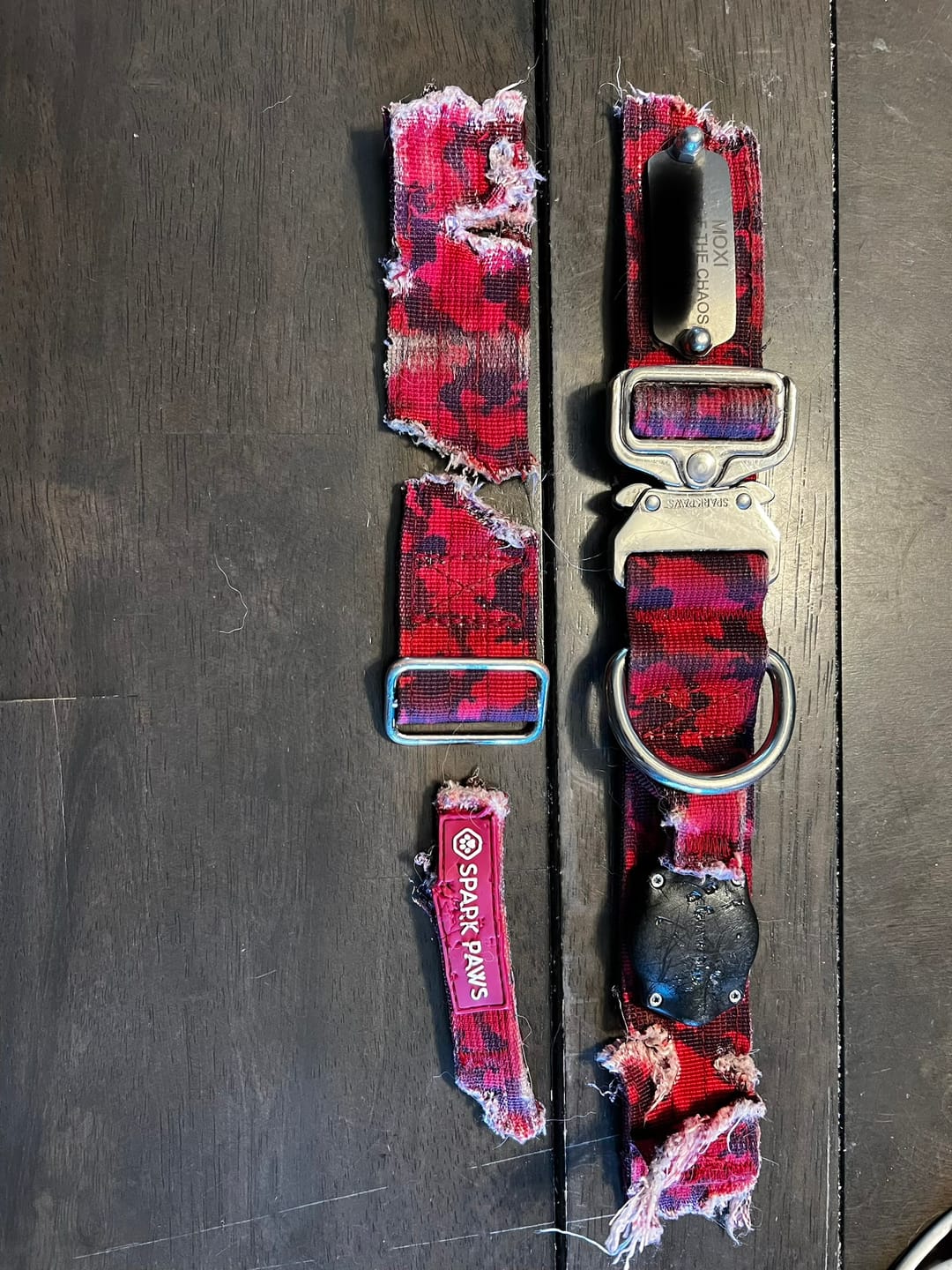 Customer photo review of Comfort Control Collar and Multipurpose Leash Set - Fuchsia Camo