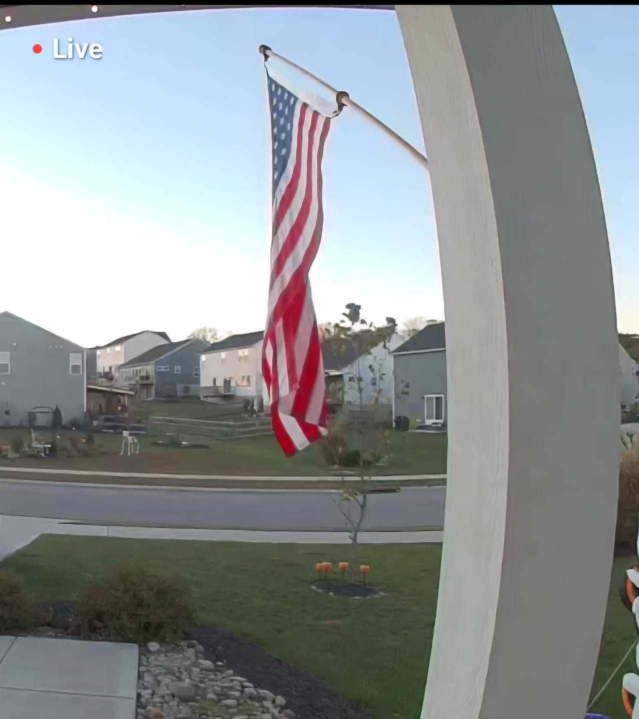 Customer photo review of 3' x 5' American Flag Set