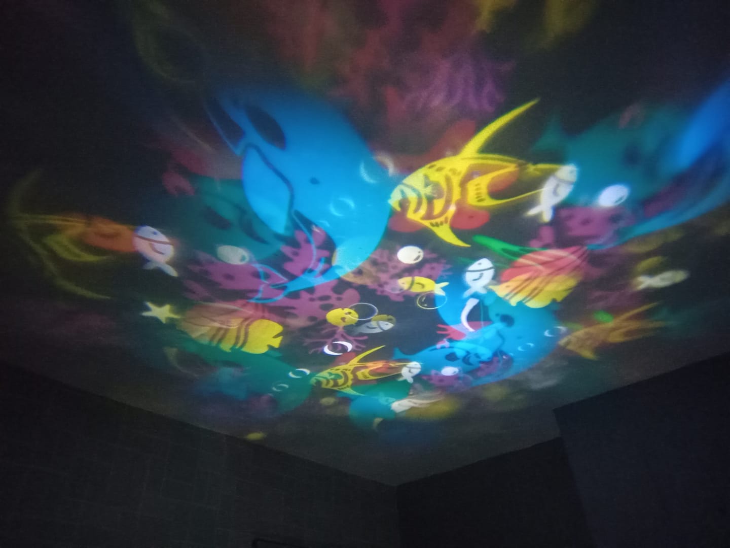 Customer photo review of Taluxa™ Ocean Light - Dinosaur Light