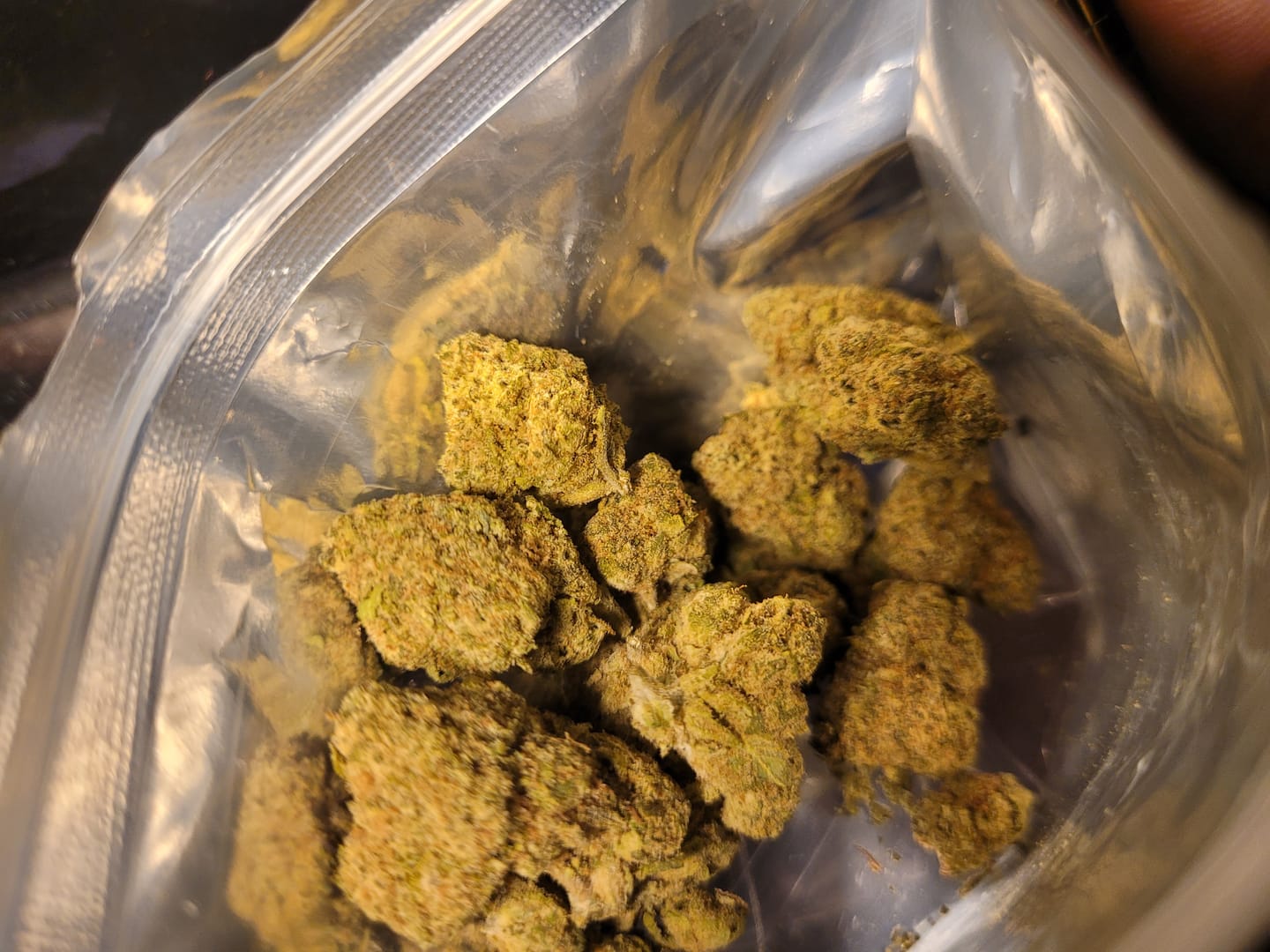 Customer photo review of Lyon King THCA Flower