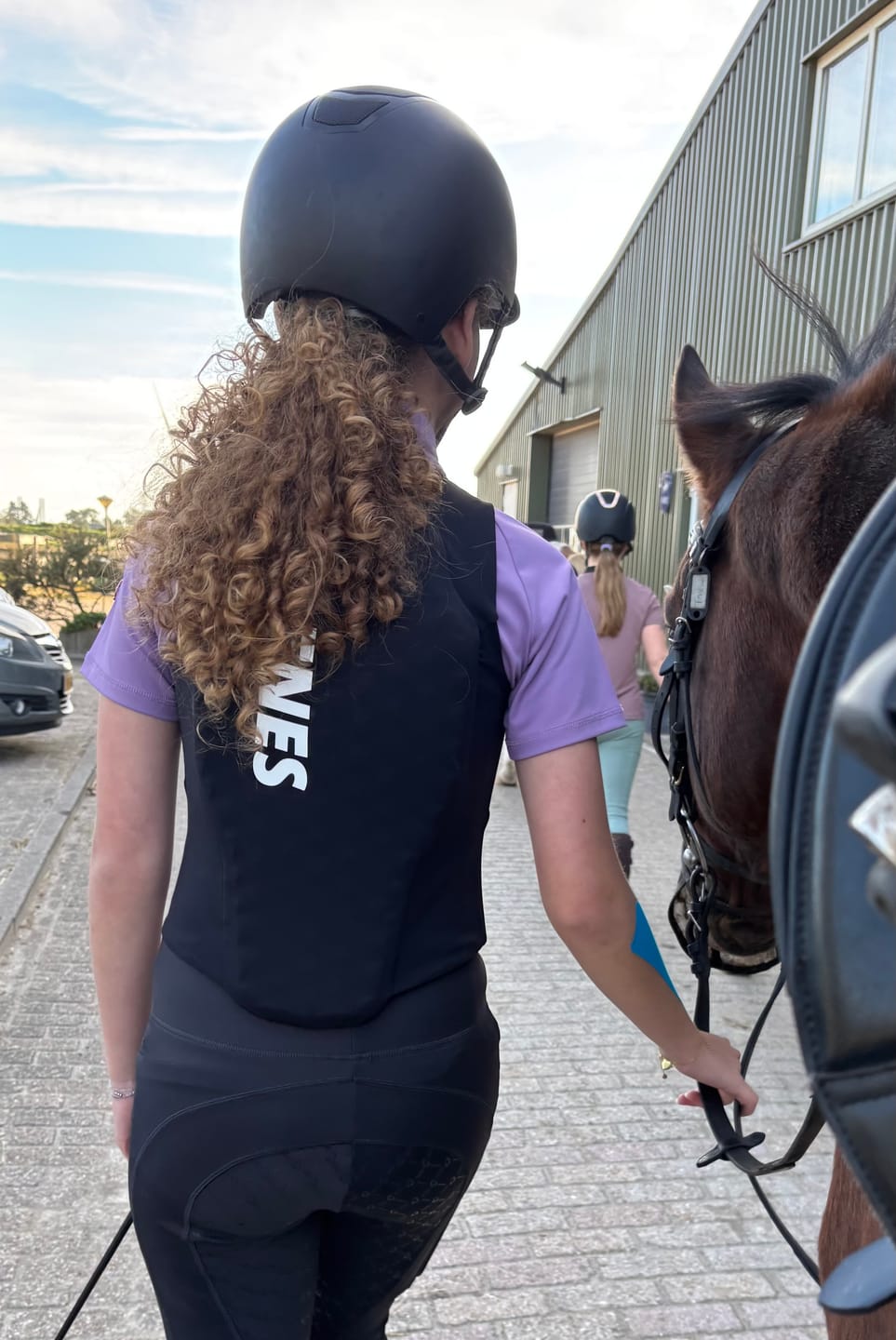 Customer photo review of Spines Horse Original