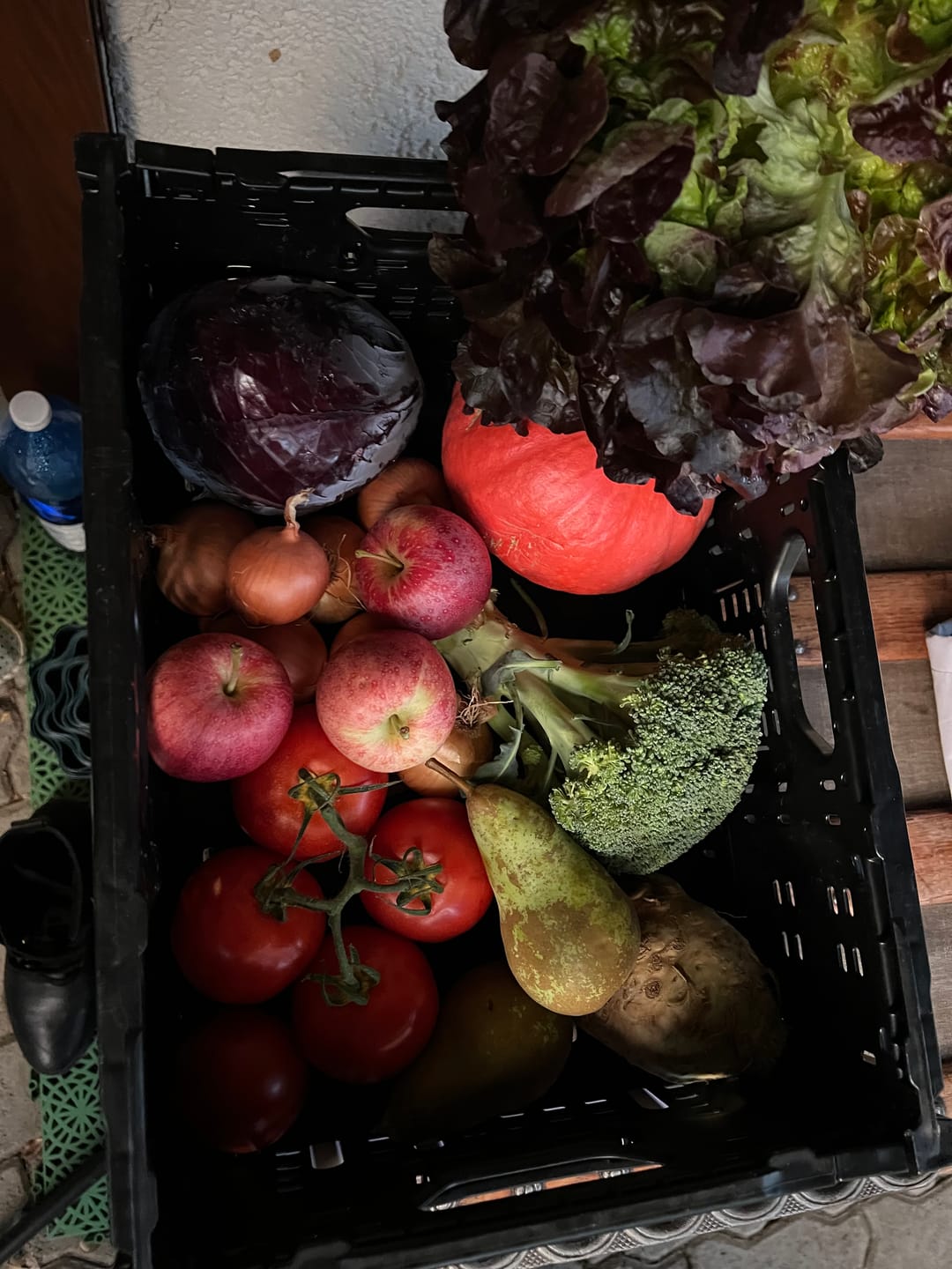 Customer photo review of Obst- und Gemüsechorb gemischt