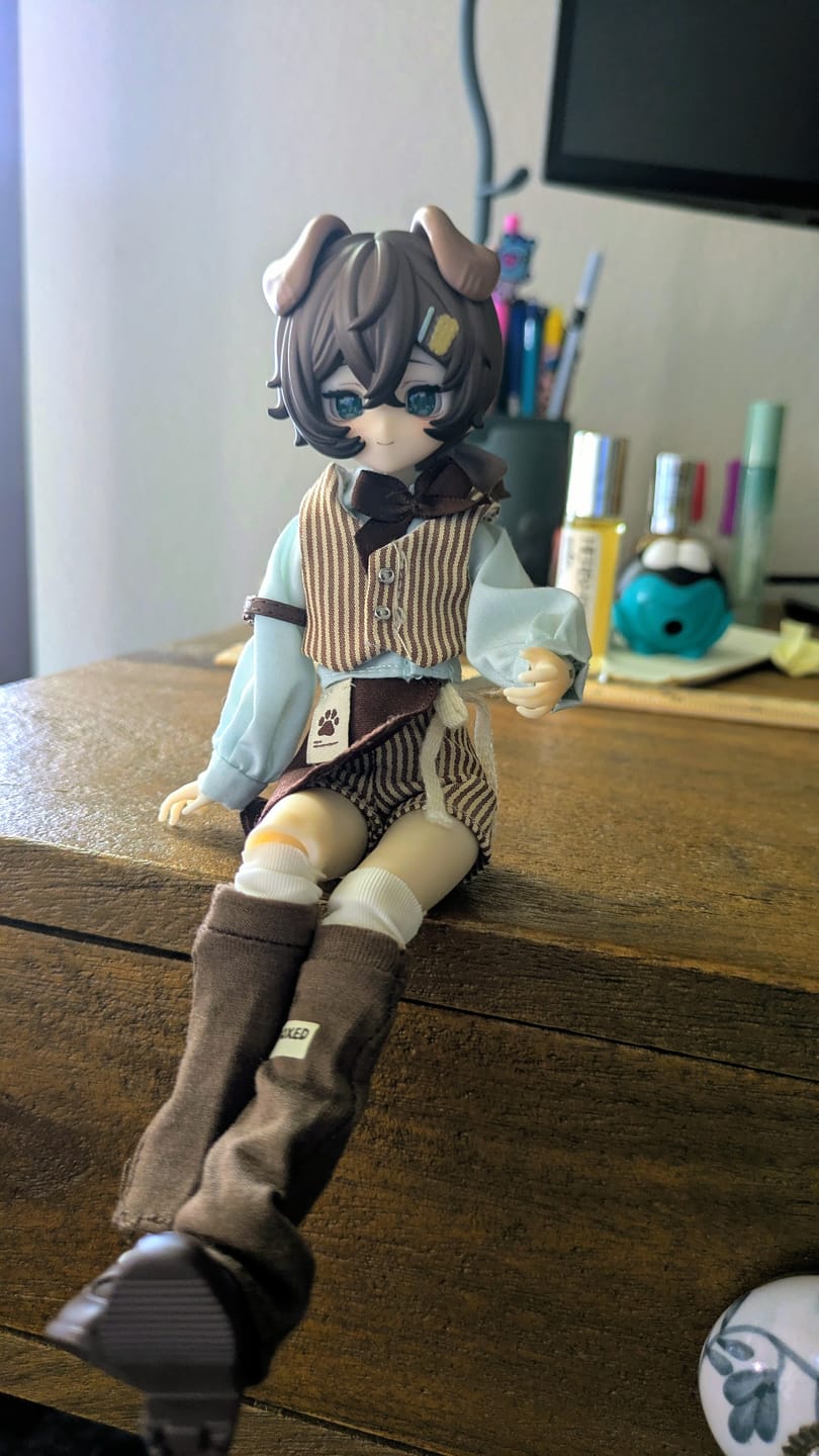 Customer photo review of Boxed Furry Series 1/8 Action Figure BJD Blind Box