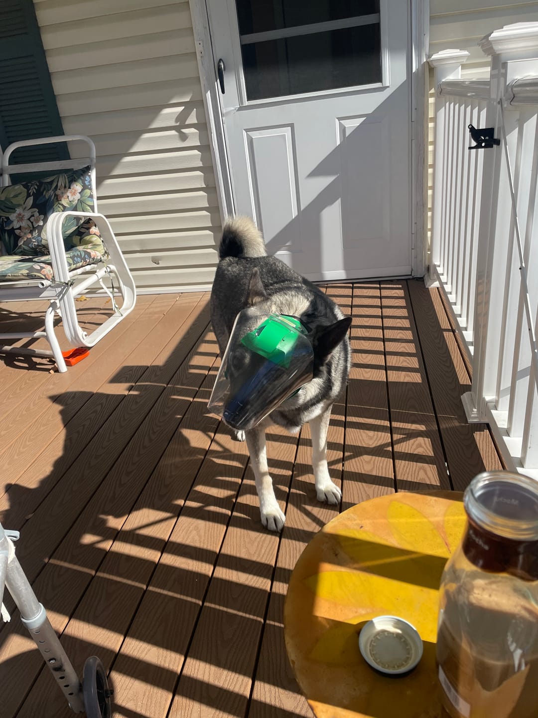 Customer photo review of OptiVizor - Regular Snout - Clear UV Tint