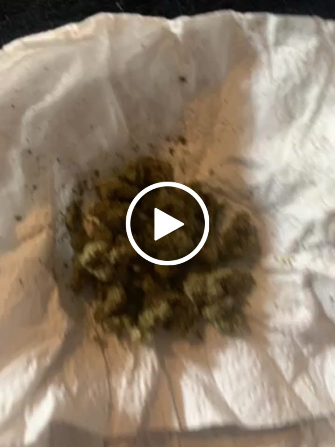 Customer video review of Greenhouse Flower