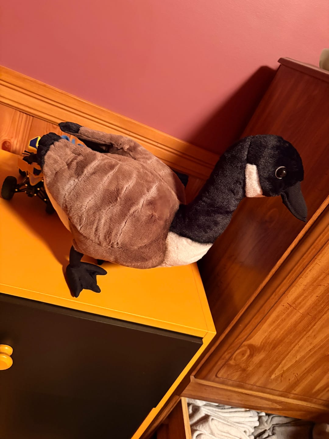 Customer photo review of Canada Goose Plush – Realistic and Soft Stuffed Toy for Bird Lovers